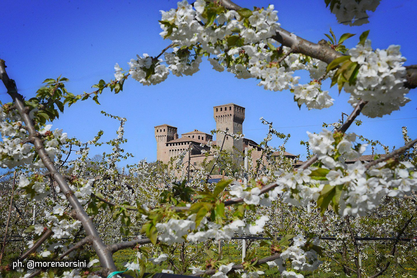 Vignola (MO), Rocca e fioritura dei ciliegi, ph. morenaorsini - visitmodena