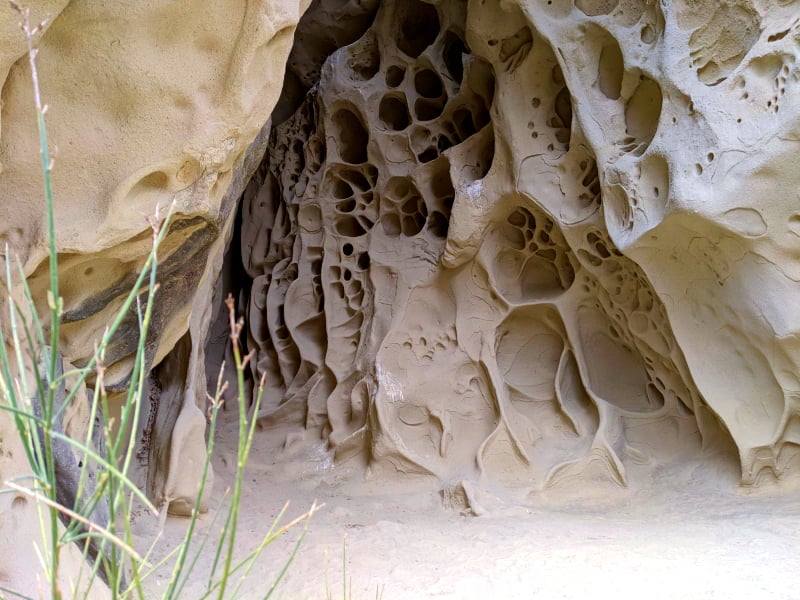 Le Grotte di Soprasasso, meraviglia dell’Appennino bolognese