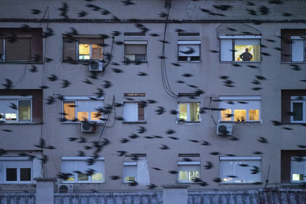 Jonas Bendiksen The Book of Veles, 2021 © Jonas Bendiksen | Magnum Photos