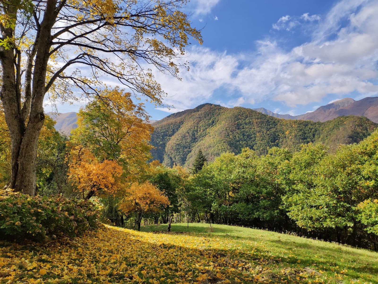 Tresana, panorama Ph. Claudia Golinelli