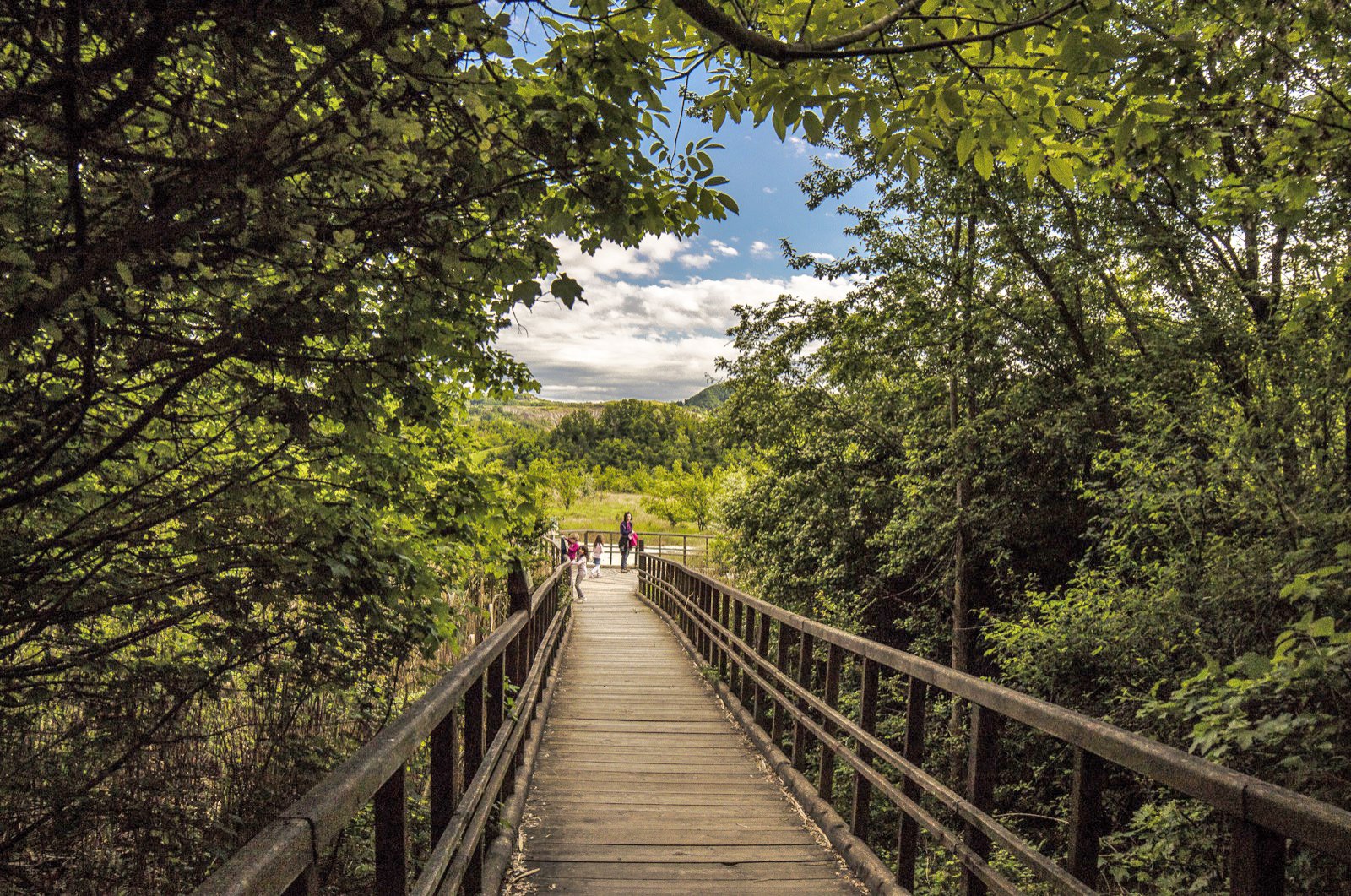 Esperienze nella natura in Emilia-Romagna: 5 idee di viaggio