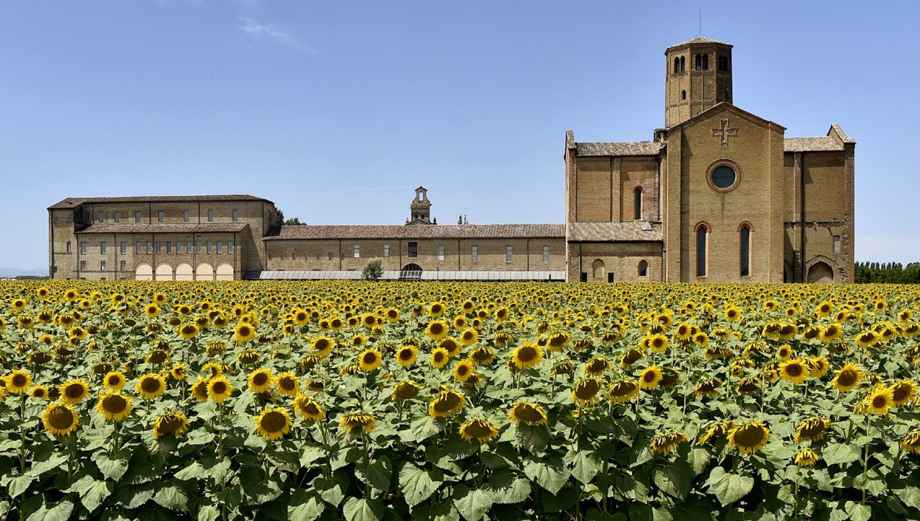 Parma, L’Abbazia di Valserena circondata da girasoli, ph. Marco Vasini via Repubblica.it, CC_BY_NC_SA 3.0