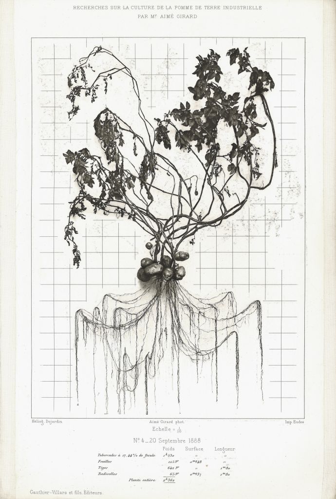 Aimé Girard, Ricerca sulla coltivazione industriale della patata, Atlante con sei eliografie, 1889 / Research on the cultivation of the industrial potato, Atlas with six heliogravures, 1889