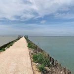 La ciclabile Argine degli Angeli | Ph. Fiab Ravenna