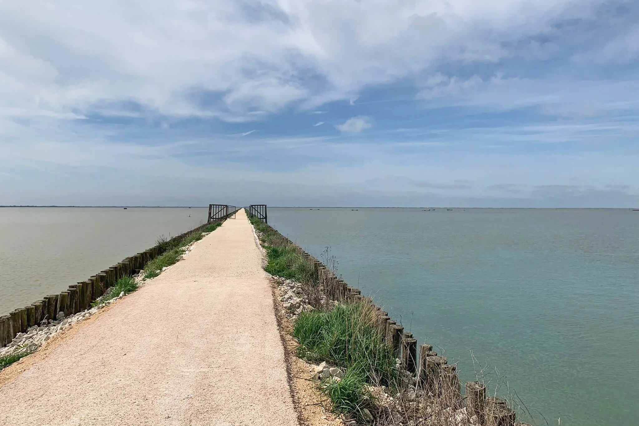 La ciclabile tra Valle Furlana e Valle Lido di Magnavacca (Ravenna/Ferrara)