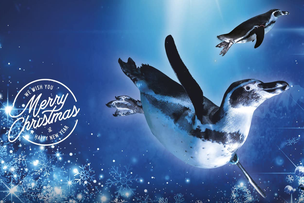 Amusement parks in Emilia-Romagna: open for Xmas holidays