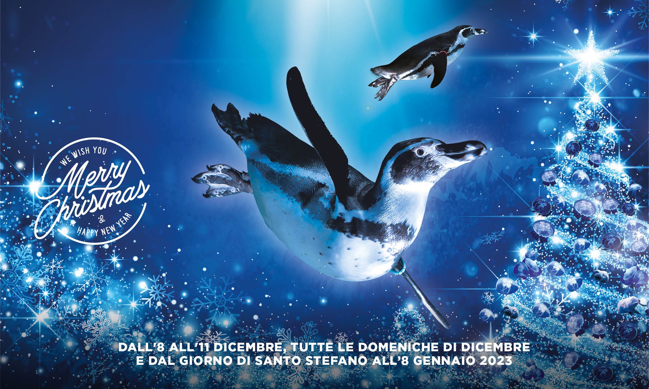 Acquario di Cattolica, apertura Natale 2022