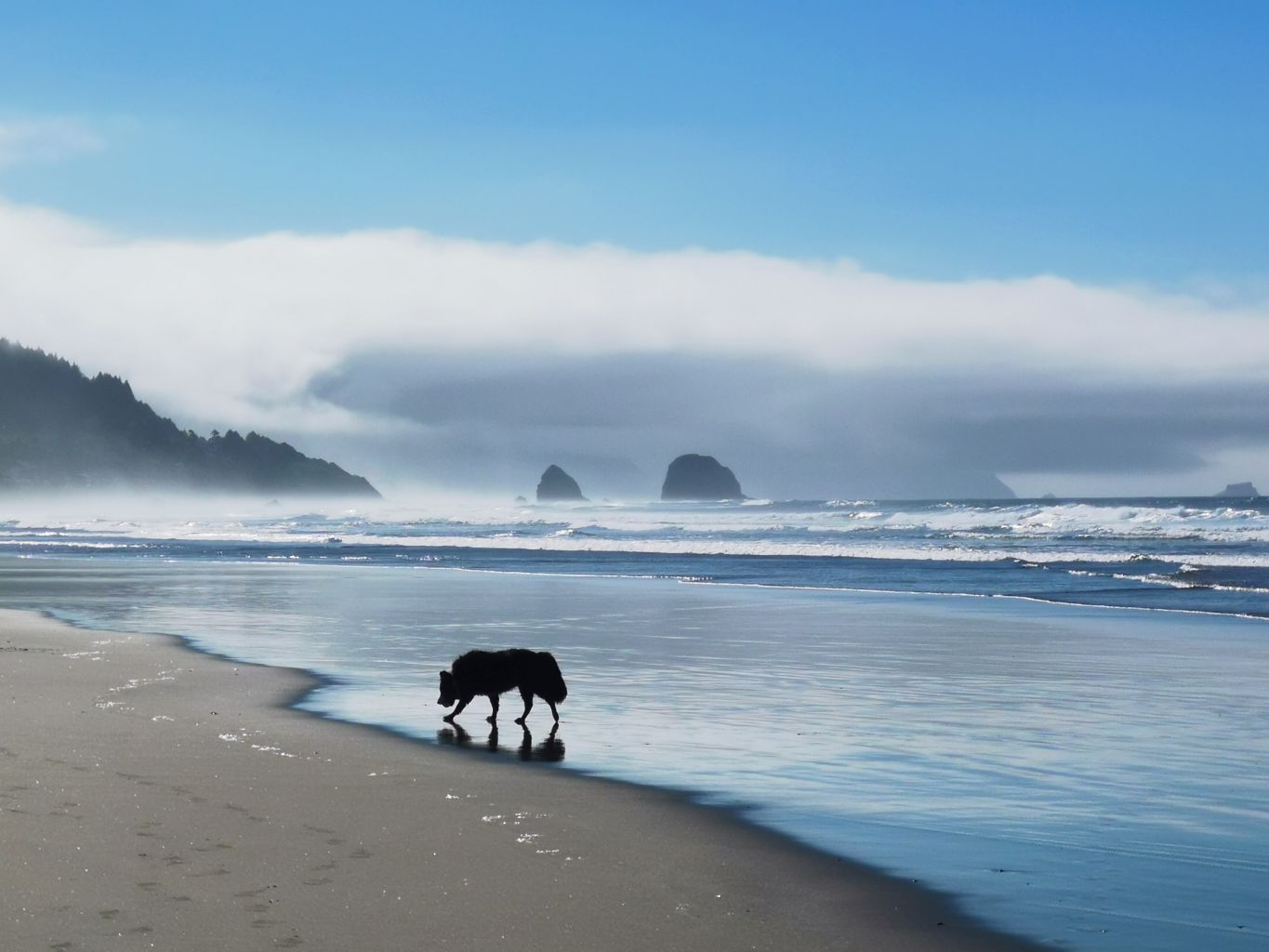 Fiorella Buonagurelli, Cannon Beach, Natura e riflessi in Oregon, 2022