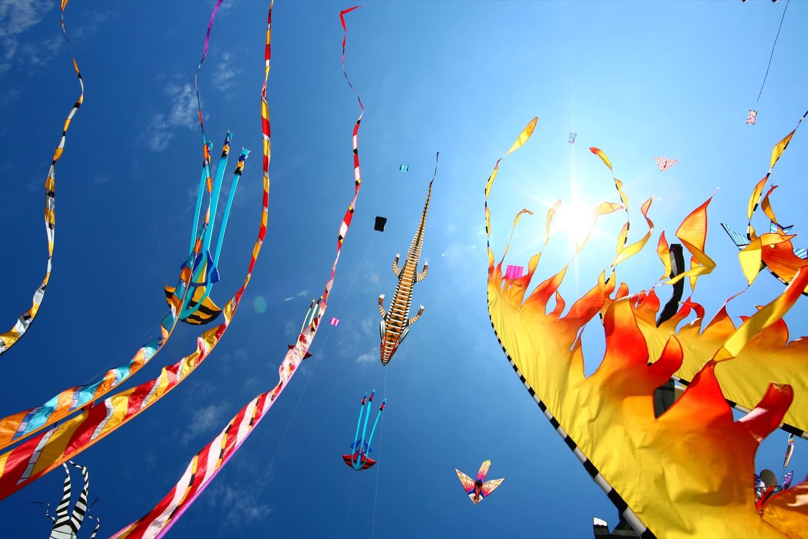 Kites and Balloons: Festivals in the skies of Emilia-Romagna