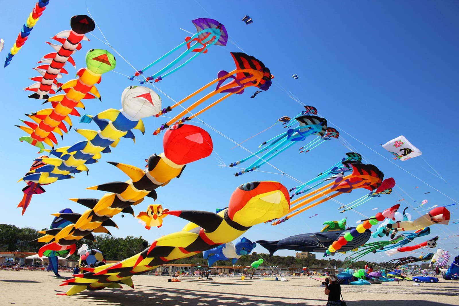 Kites and Balloons: Festivals in the skies of Emilia-Romagna