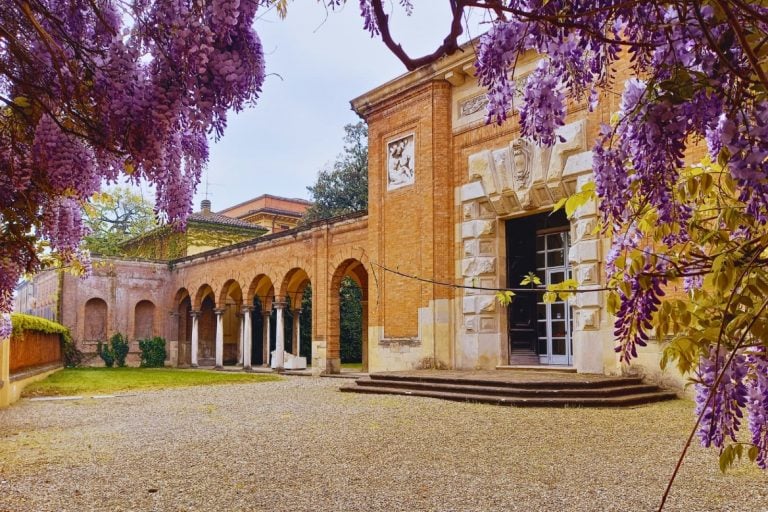 Trova il glicine in Emilia Romagna e scatta foto perfette per Instagram