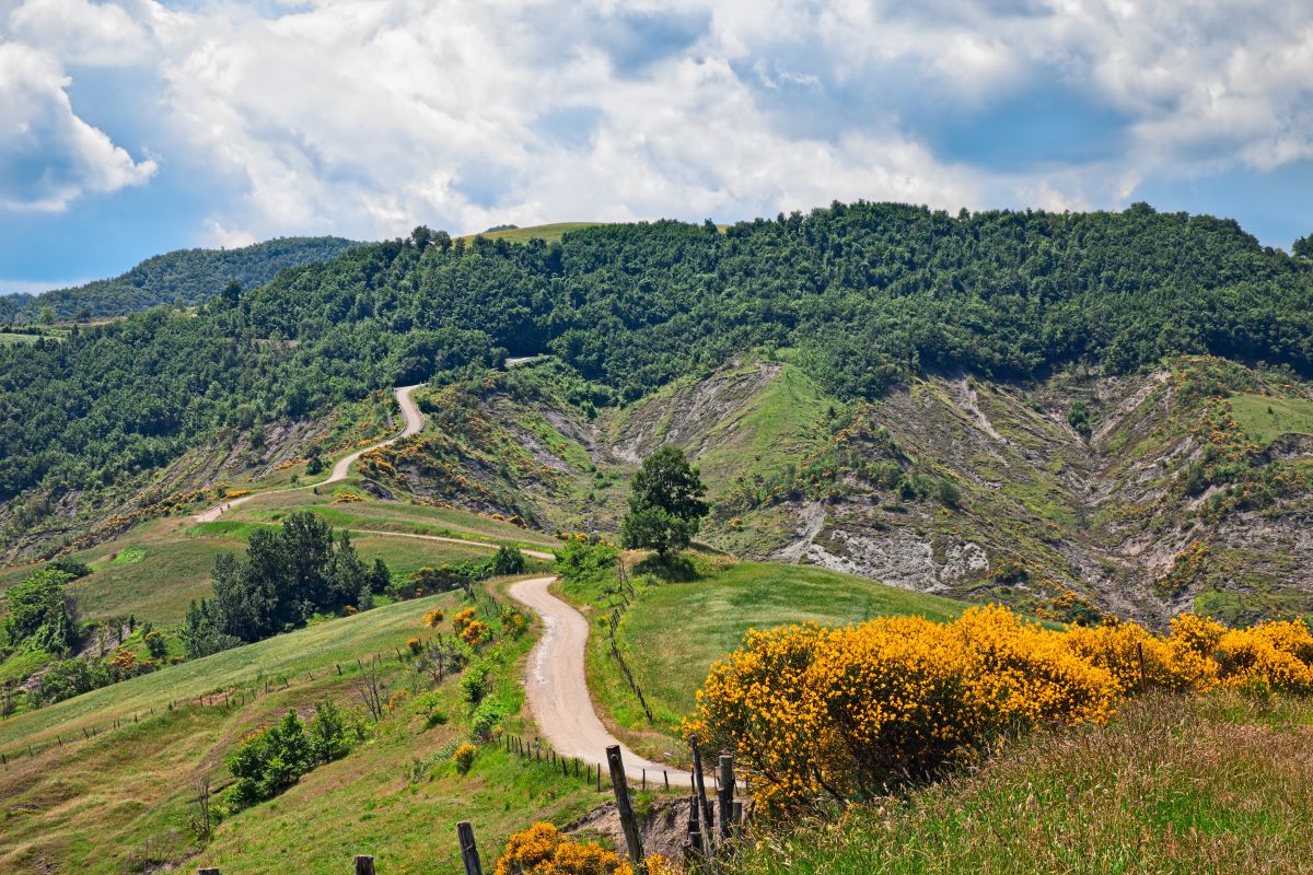 Appennini, Forlì-Cesena 