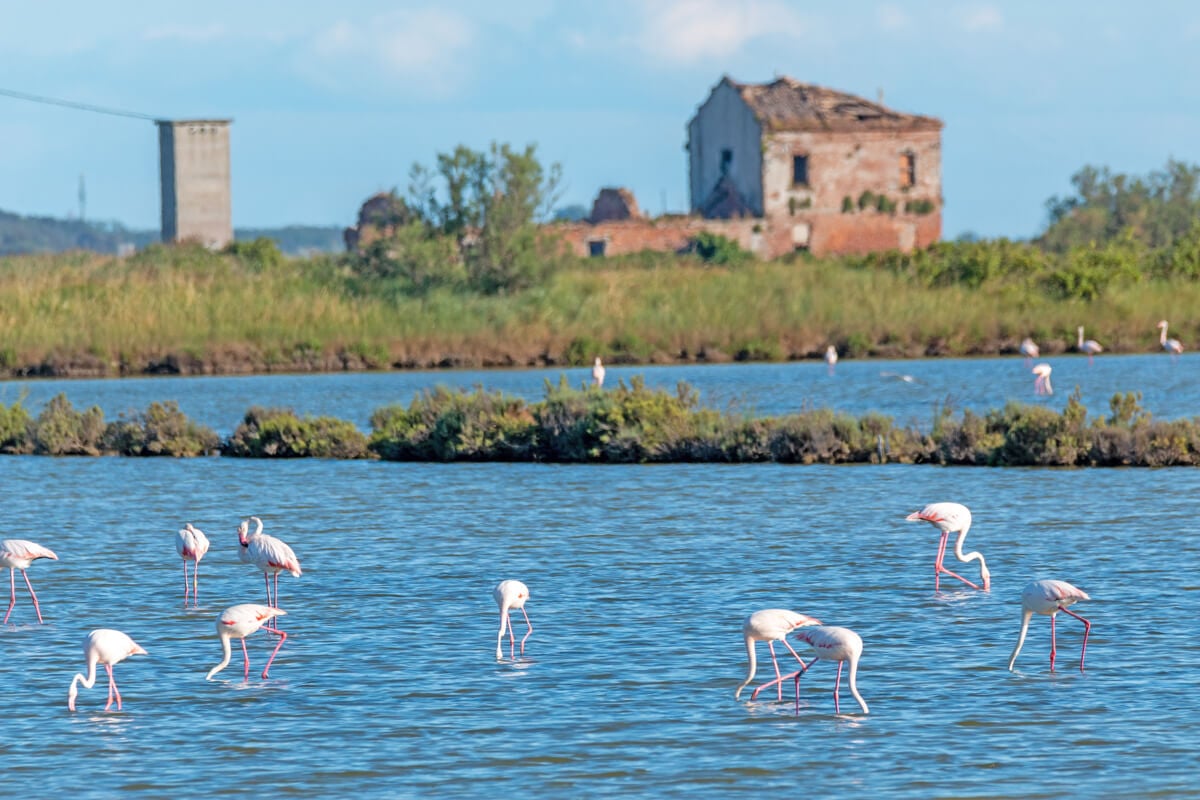 Parco del Delta del Po (FE)