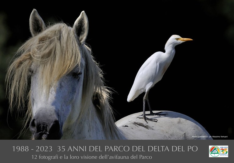 Parco del Delta del Po: 35 anni in 12 immagini [PhotoValley]