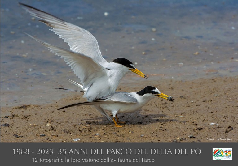 Fraticelli by Roberto Sauli 1988-2023 35 anni del Parco del Delta del Po-riproduzione vietata