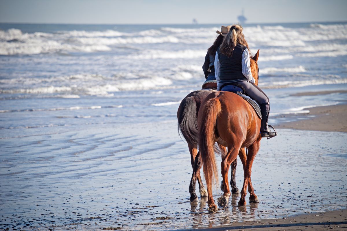A cavallo sulla spiaggia | Ph. PriceM via Shutterstock