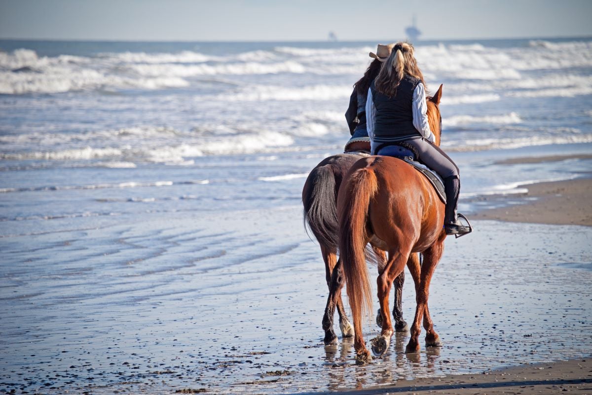 A cavallo sulla spiaggia | Ph. PriceM via Shutterstock