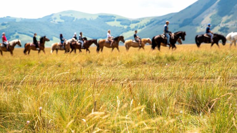 Horseback riding in Emilia-Romagna, from the Apennines to the beach