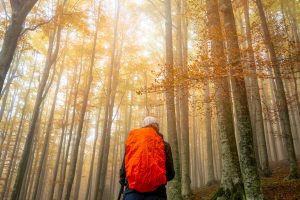 Andare “per foliage” in Emilia-Romagna