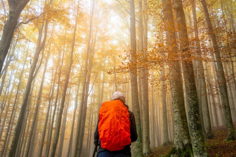 Foliage Walks in Emilia-Romagna