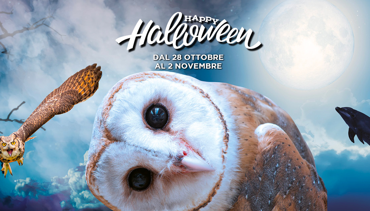 Riccione (RN), Oltremare Halloween 2023