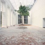 Caserta, 1987 by Luigi Ghirri ©Eredi Luigi Ghirri in Un piede nell’Eden. Luigi Ghirri e altri sguardi. Giardini in Europa e L’Architettura degli Alberi, Palazzo dei Musei Reggio Emilia