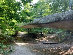 The Hercules (or Devil’s) Bridge: excursion for children in the Modena area