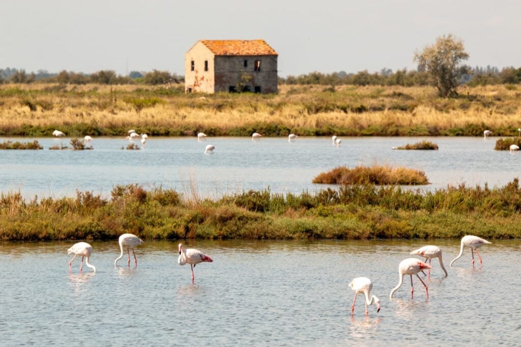 Parco Delta del Po, Valli di Comacchio Ph. francesco de marco via shutterstock