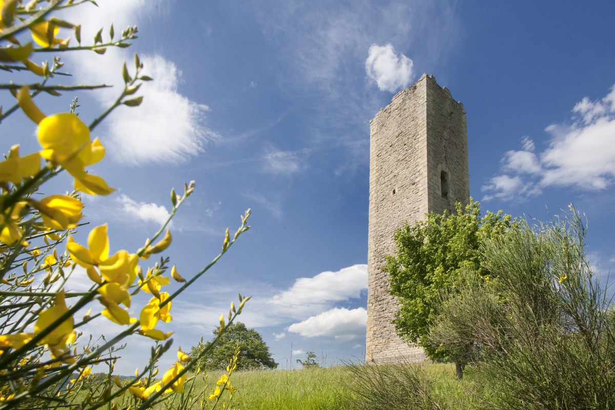 Pennabilli, Torre di Bascio (Rimini) | Credit: Paritani