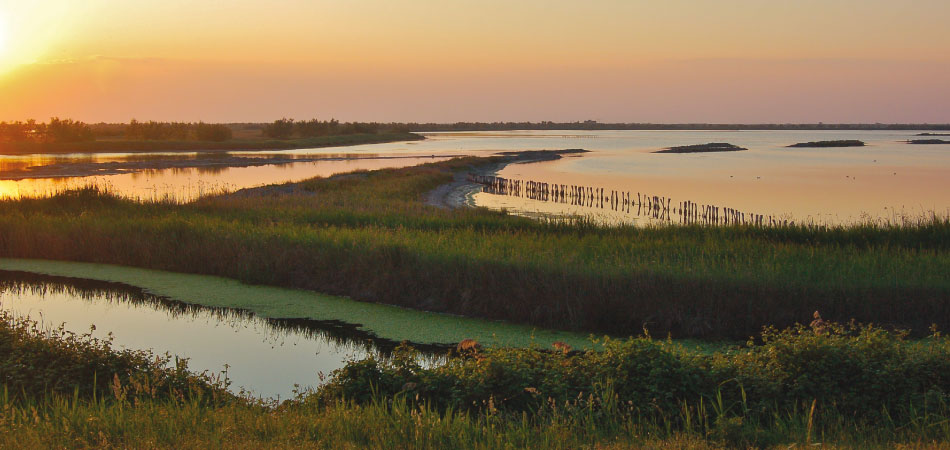 Delta del Po | Ph. biosferadeltapo.it