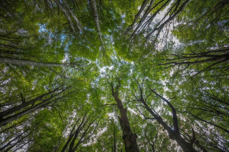 I siti naturali dell’UNESCO in Emilia-Romagna