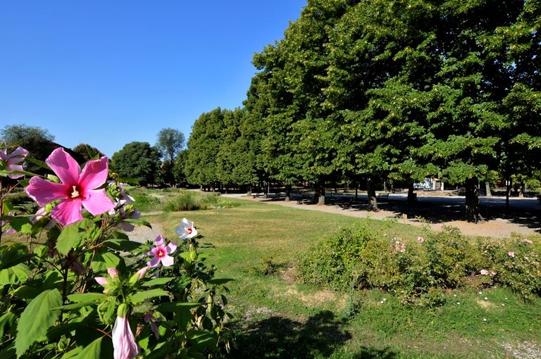Modena, Parco Ducale Estense | Ph. bbcc Regione Emilia-Romagna