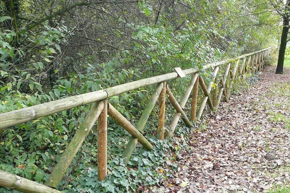 San Lazzaro di Savena (Bo), Parco dei Cedri | ph. wwf.it