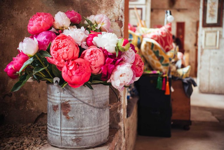 Feste dei Fiori a Maggio in Emilia-Romagna