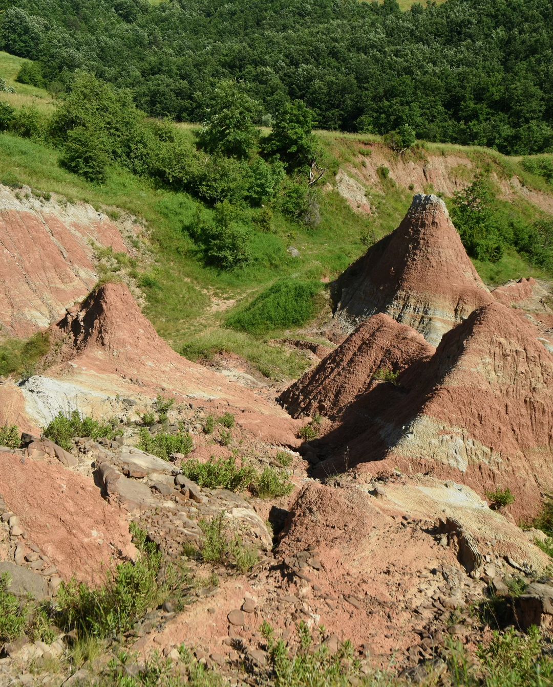 Vetto (RE), Canyon di Atticola @danielabiavati70