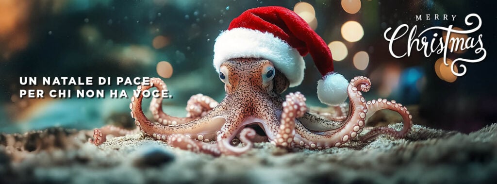 Acquario di Cattolica Natale2025