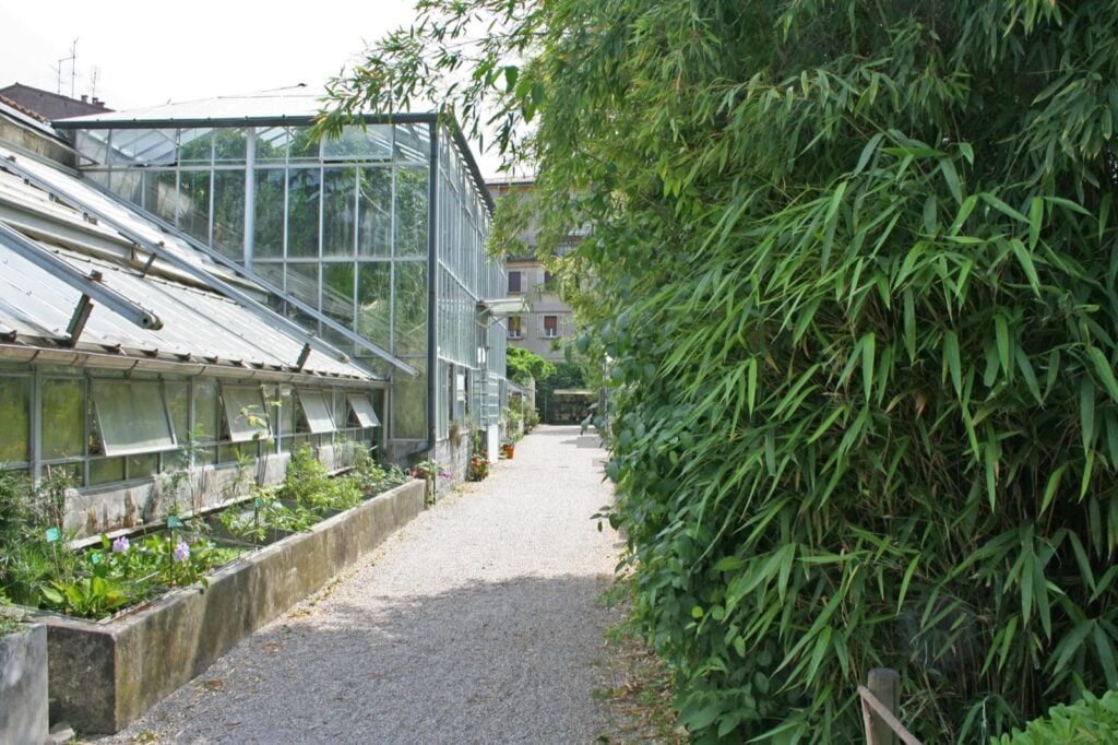 Orto Botanico ed Erbario di Ferrara, Ingresso