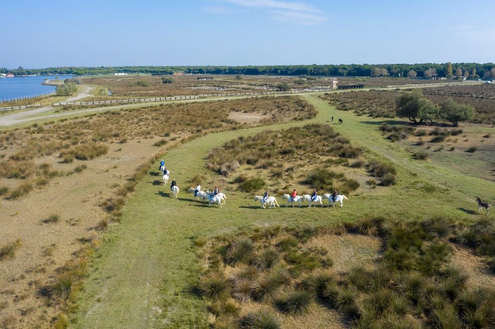 Parco del Delta del Po, escursione con cavalli Camargue | Ph. podeltatourism.it