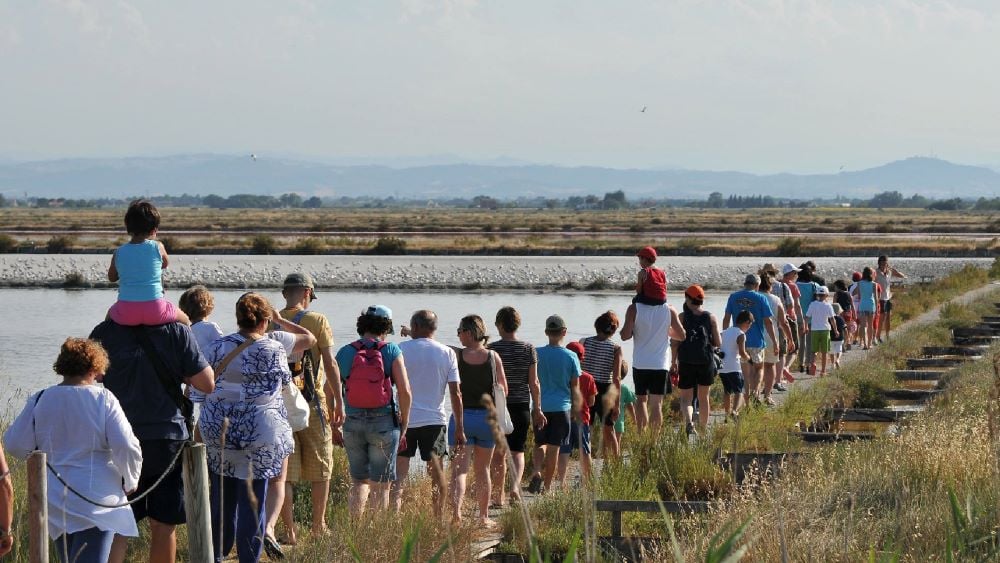 Cervia (RA), escursione in salina | Ph. amaparco.it