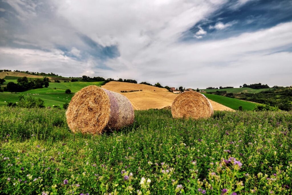 Montese (MO) Escursione di tramonto e stelle