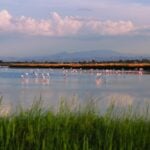 Saline di Cervia Ph. Artyart via shutterstock