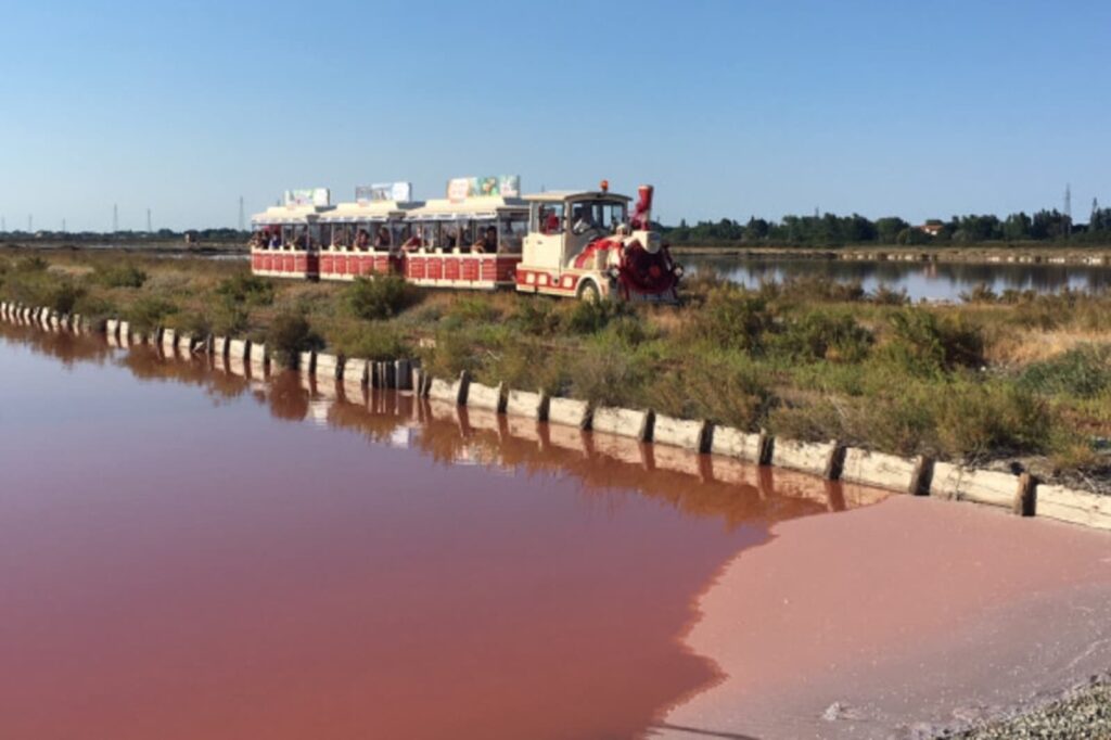 Saline di Cervia (RA) Escursione in trenino al tramonto