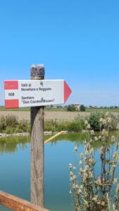 Valli di Novellara Reggiolo Ph. IAT Bassa Reggiana