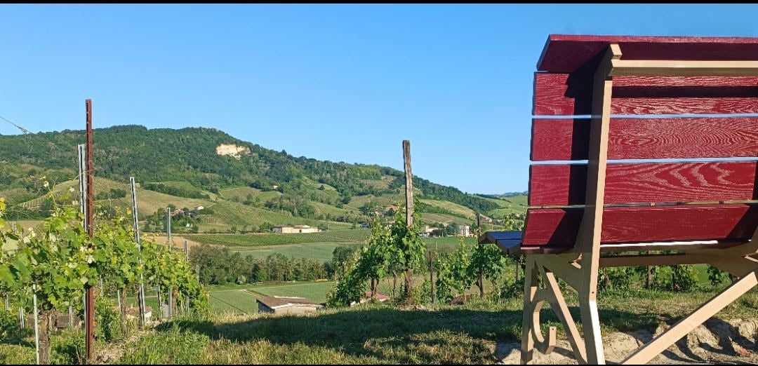 Big Bench Lugagnano Val d'Arda (PC)